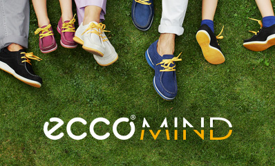 Introducing ECCO MIND